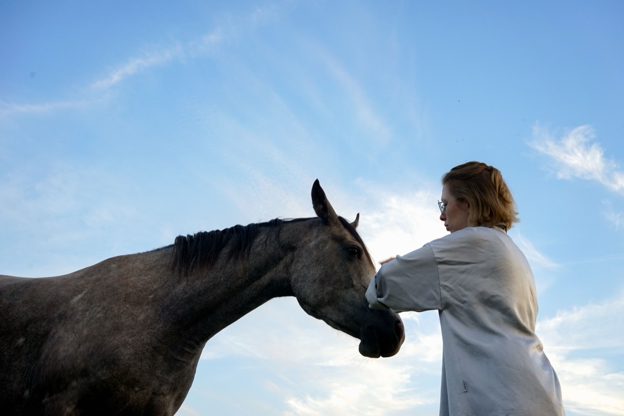Tierärztin untersucht ein Pferd im Freien